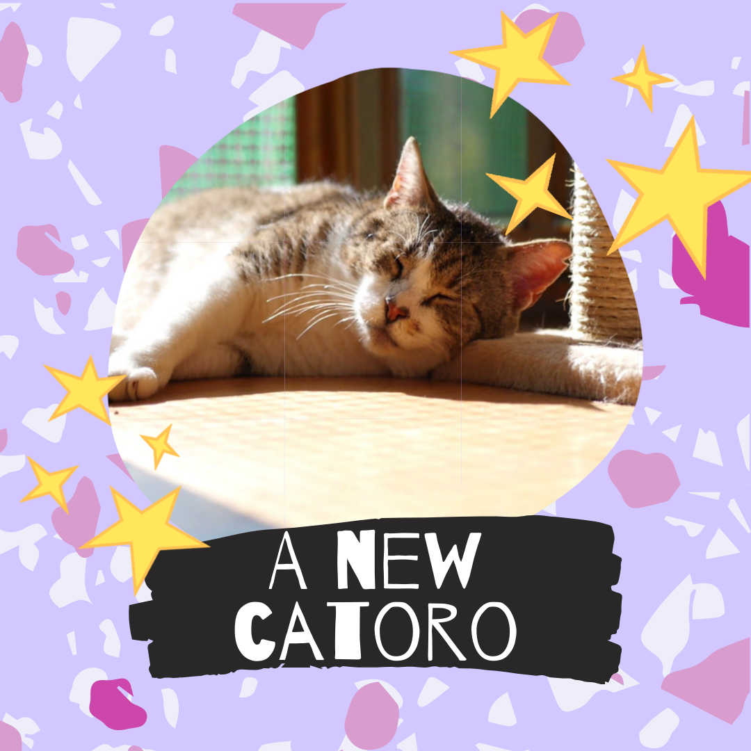 A New Catoro