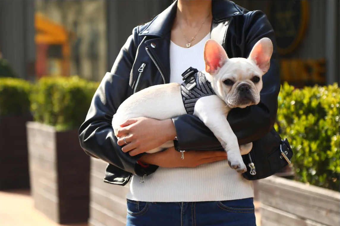 PETKIT Air Fly Dog Harness - Catoro Pets