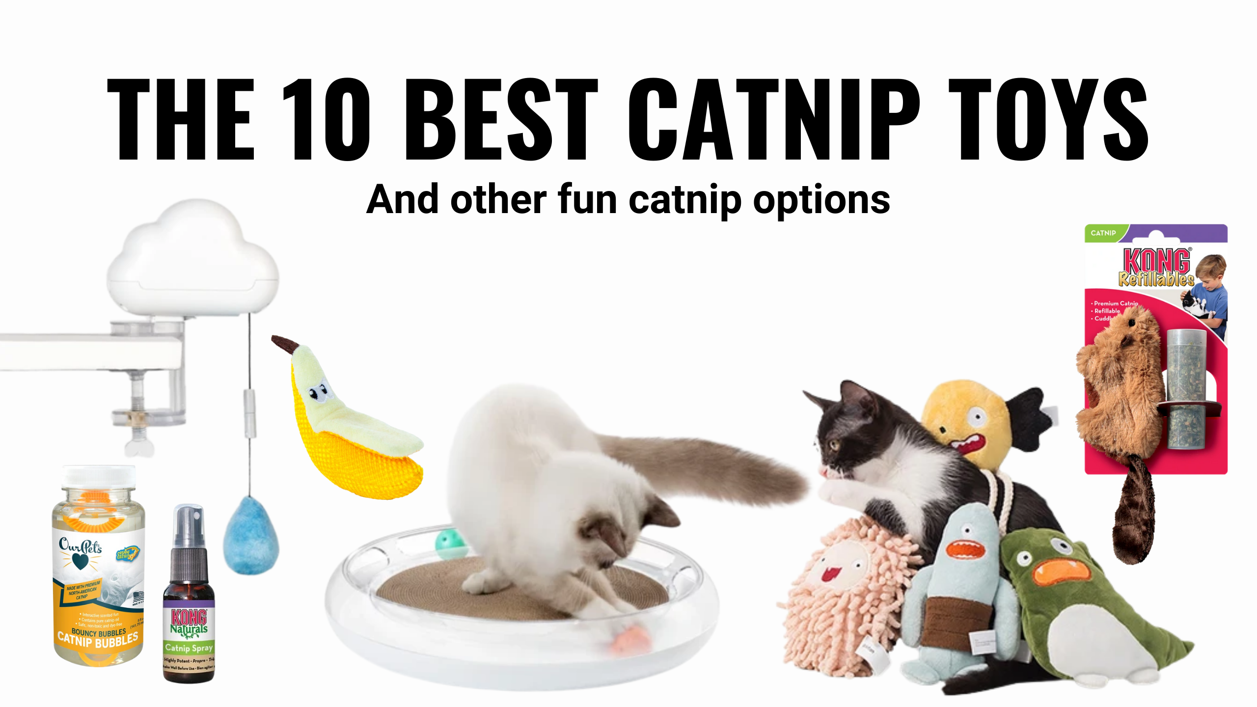The 10 Best Catnip Toys (And Other Options)