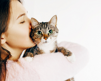 5 Ways to Show Your Cat You Love Them