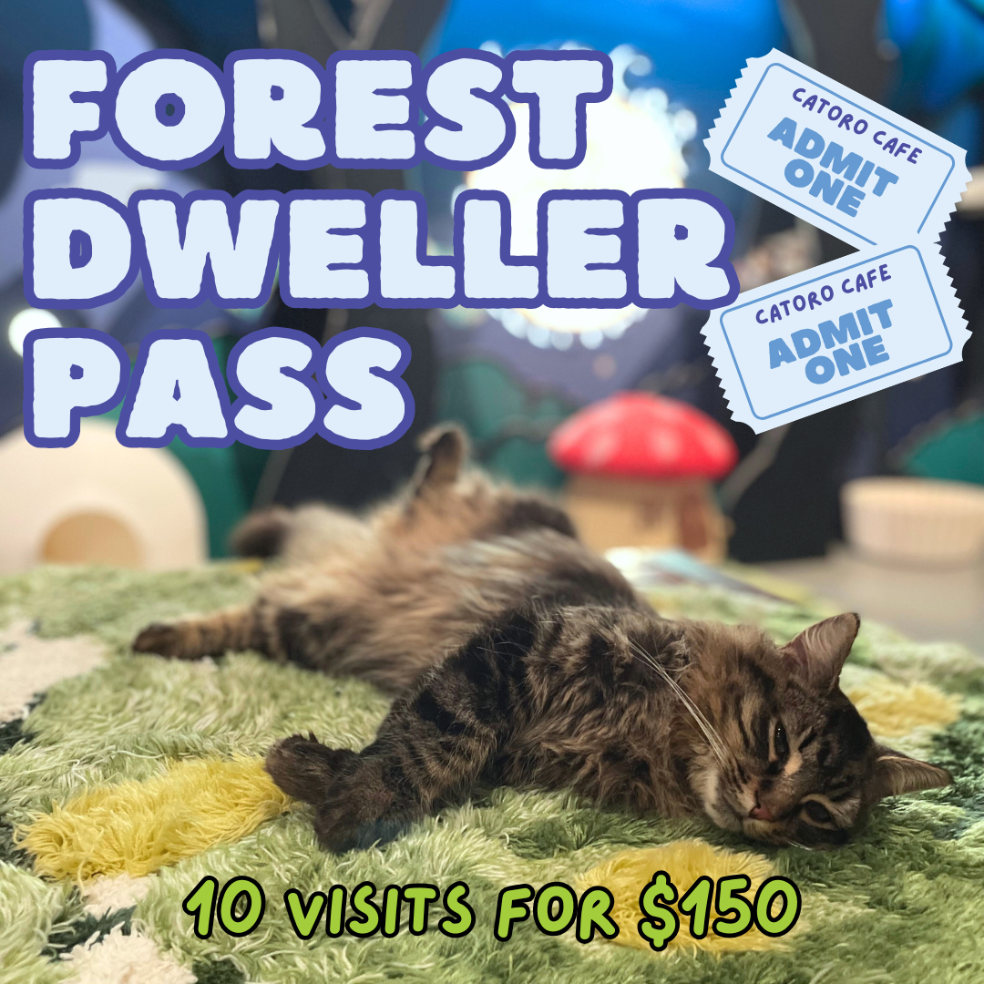 Forest Dweller Pass Admission Bundle