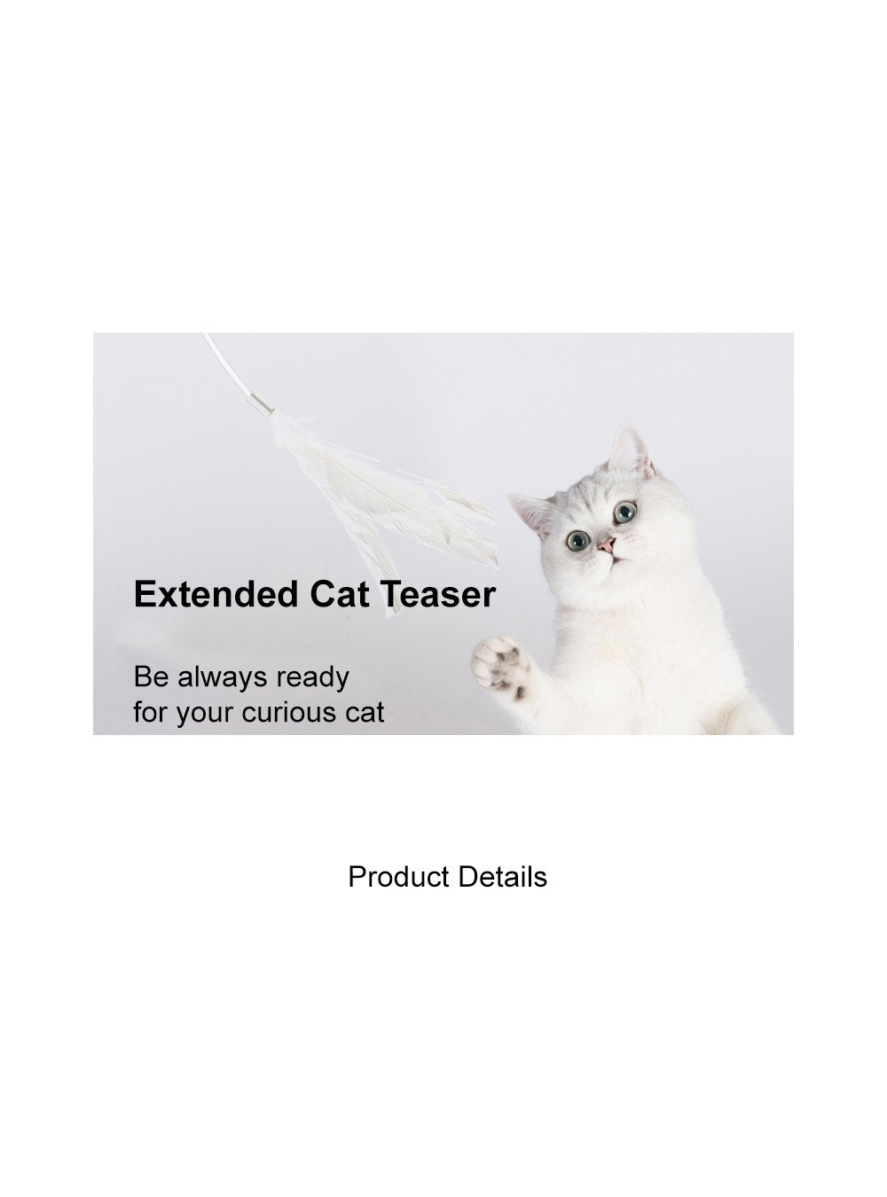 Extended Cat Teaser - Catoro
