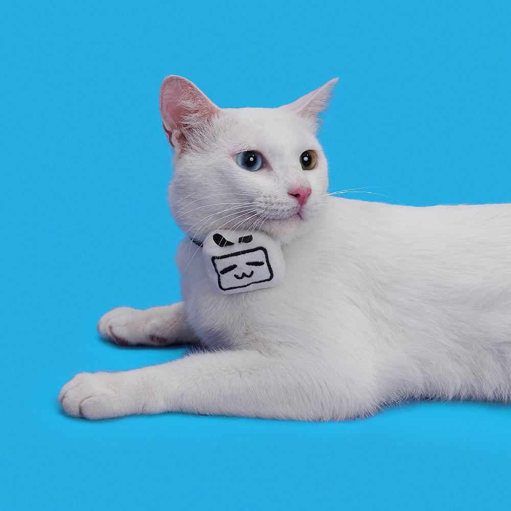 pidan×bilibili Gift Box - Catoro Pets