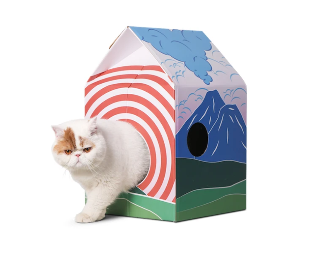 Pidan Cat House and Scratcher - Catoro