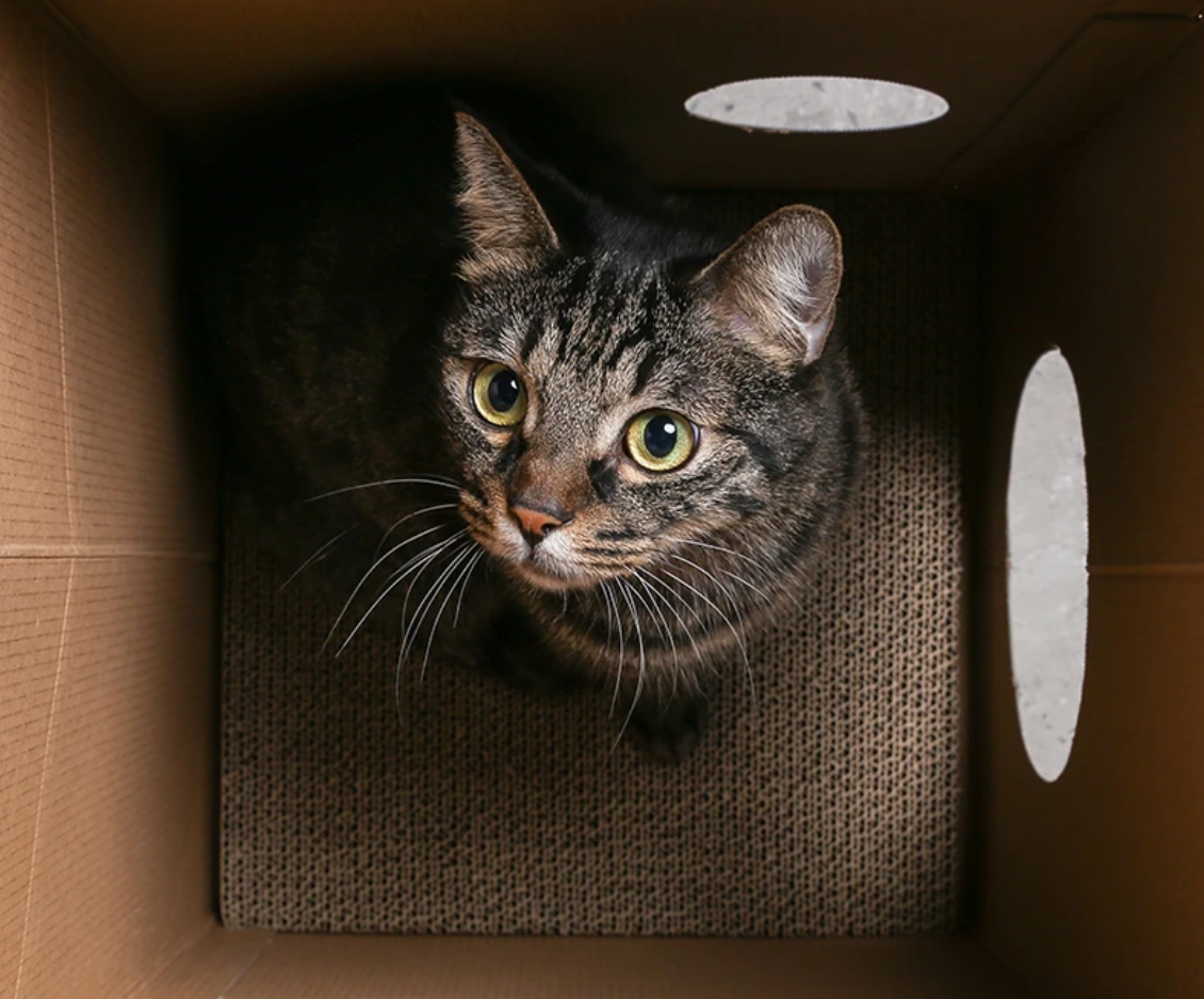 Pidan Cat House and Scratcher - Catoro